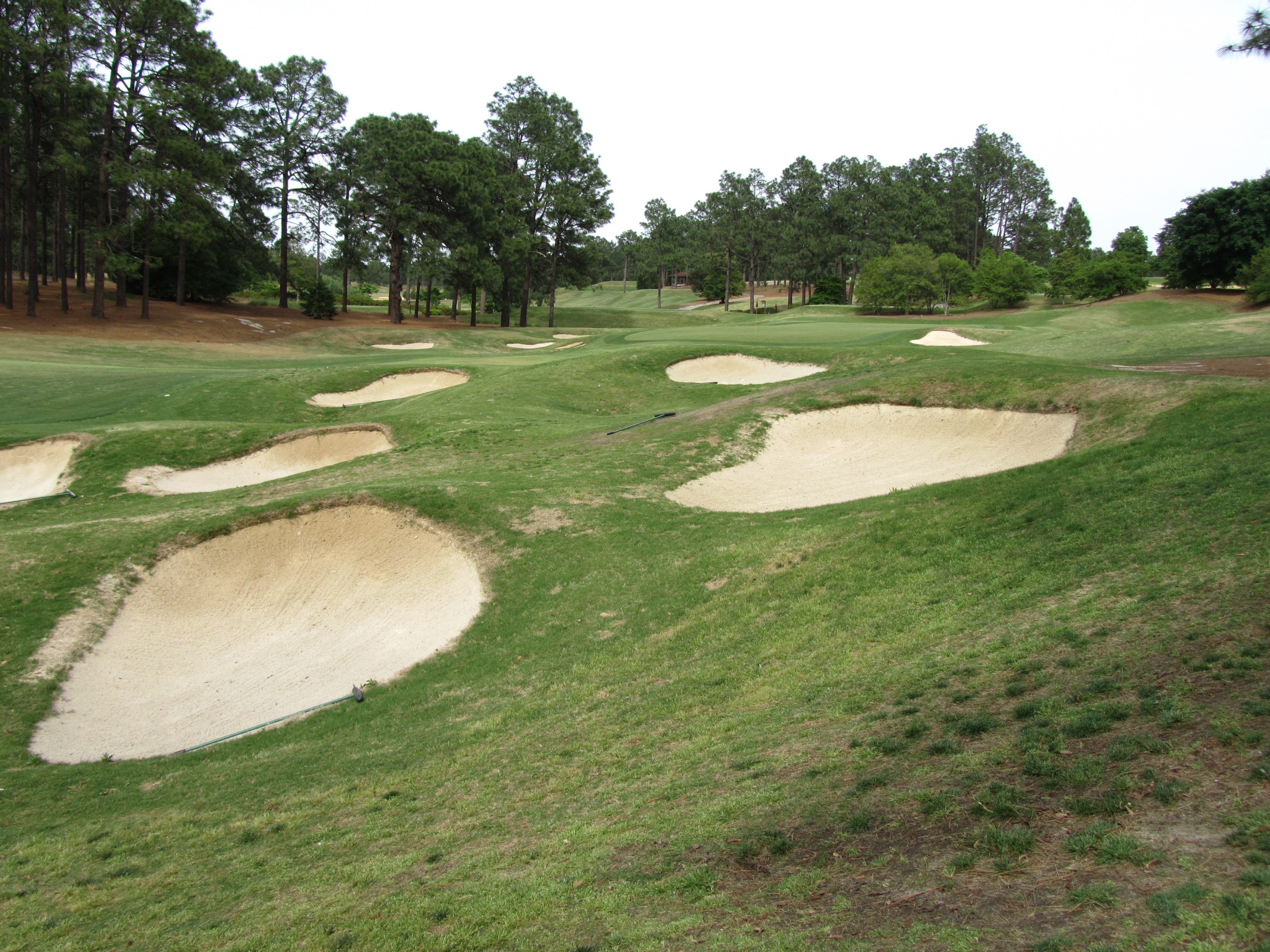 Fairway and sand bunkers lined by pine trees at Pinehurst No. 4 Golf Course in the North Carolina Sandhills