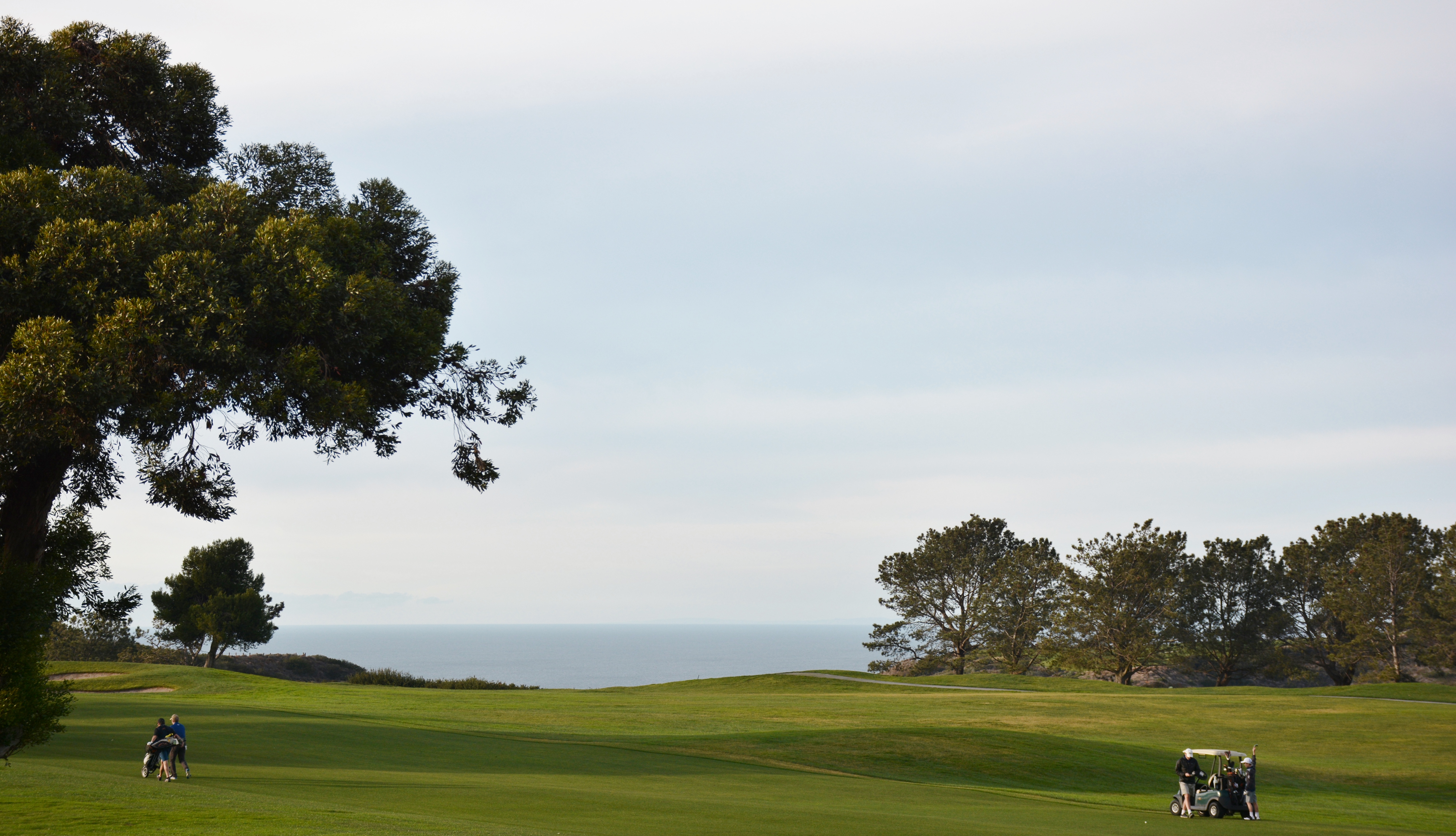 Golfers on coastal fairways overlooking the Pacific at Torrey Pines Golf Course in La Jolla, San Diego