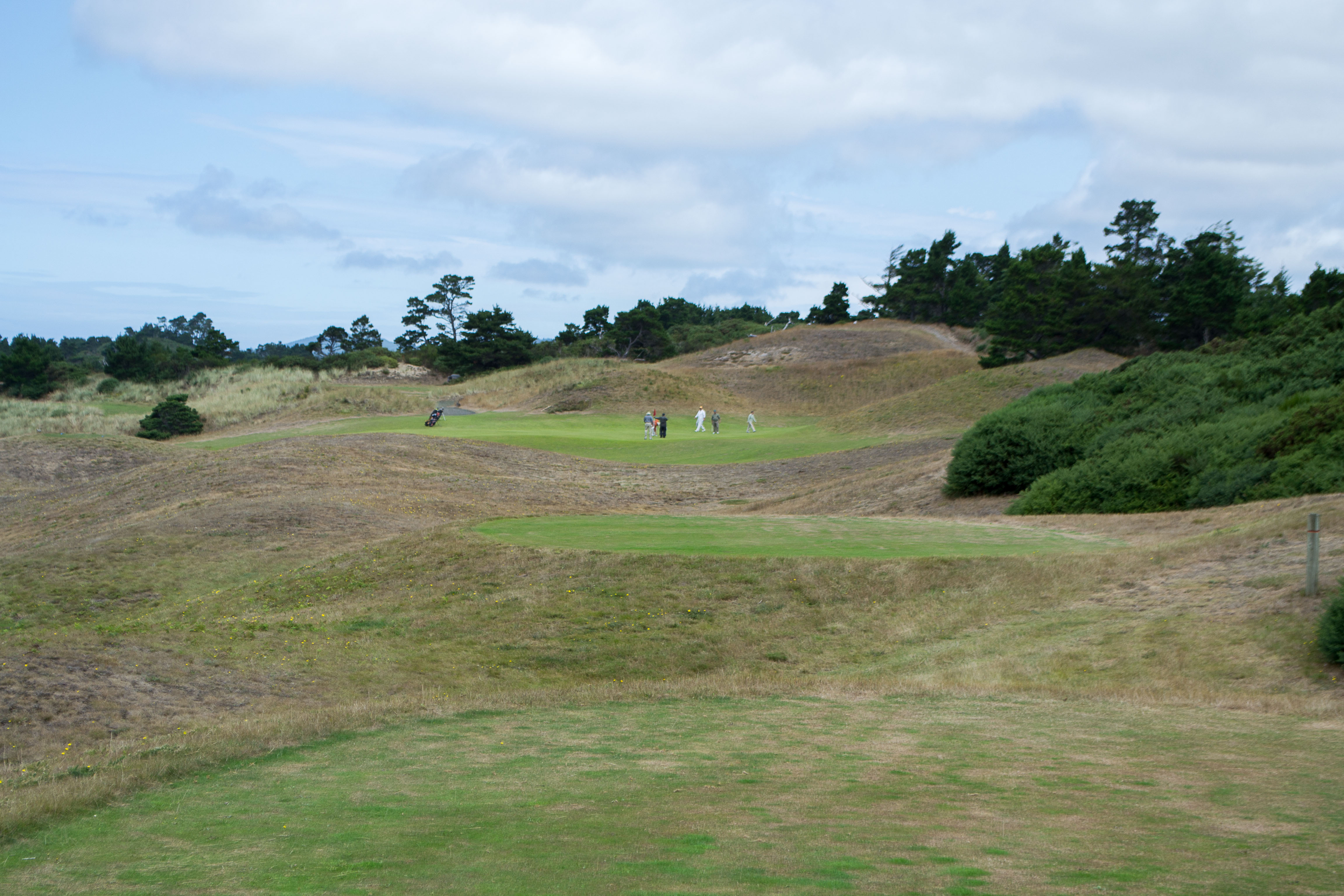 Putting greens, dune grass, and coastal scrub at Bandon Dunes Golf Resort near Bandon, Oregon