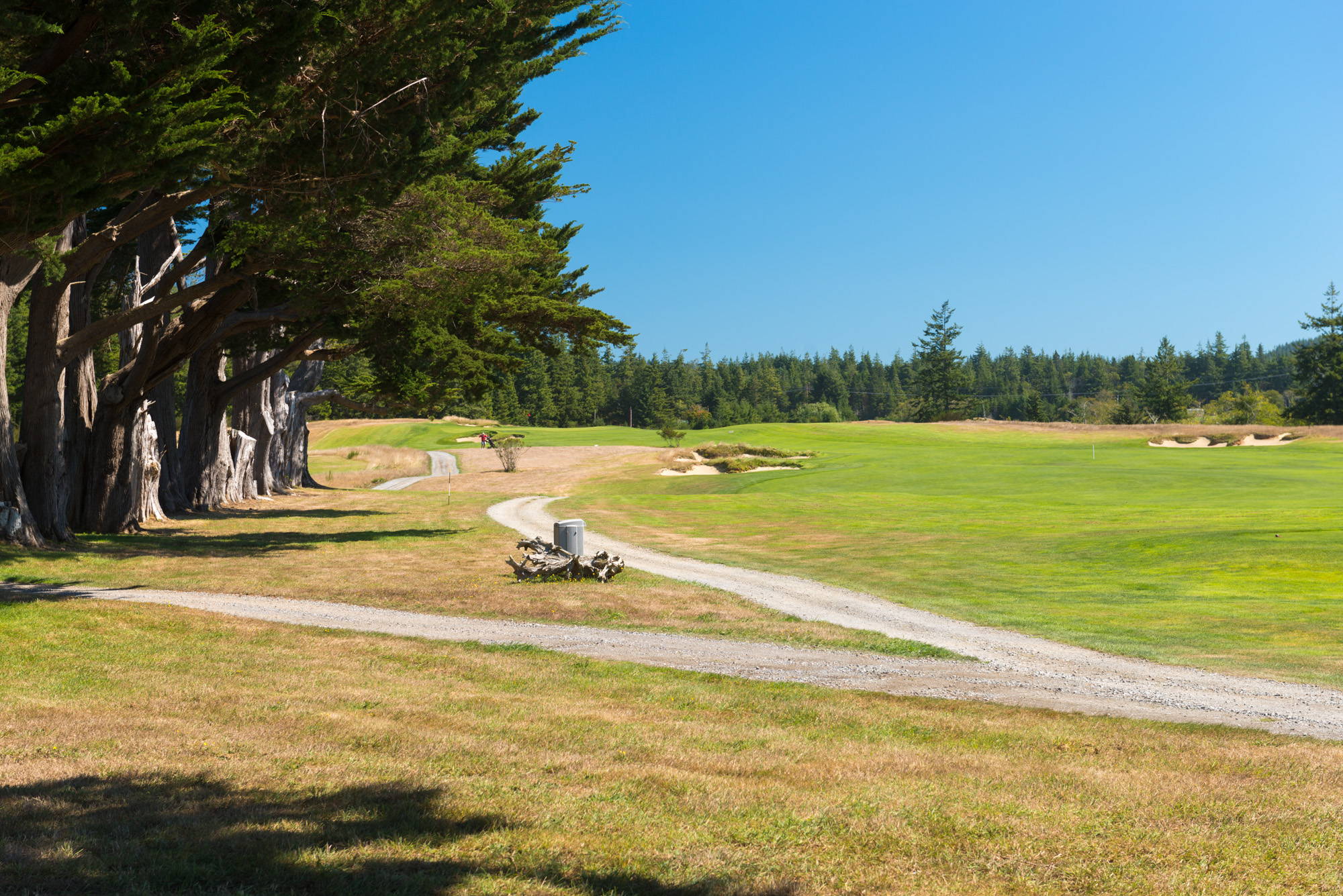 Fairway, sand bunker, and tree line at Bandon Crossings Golf Course south of Bandon on the Southern Oregon Coast