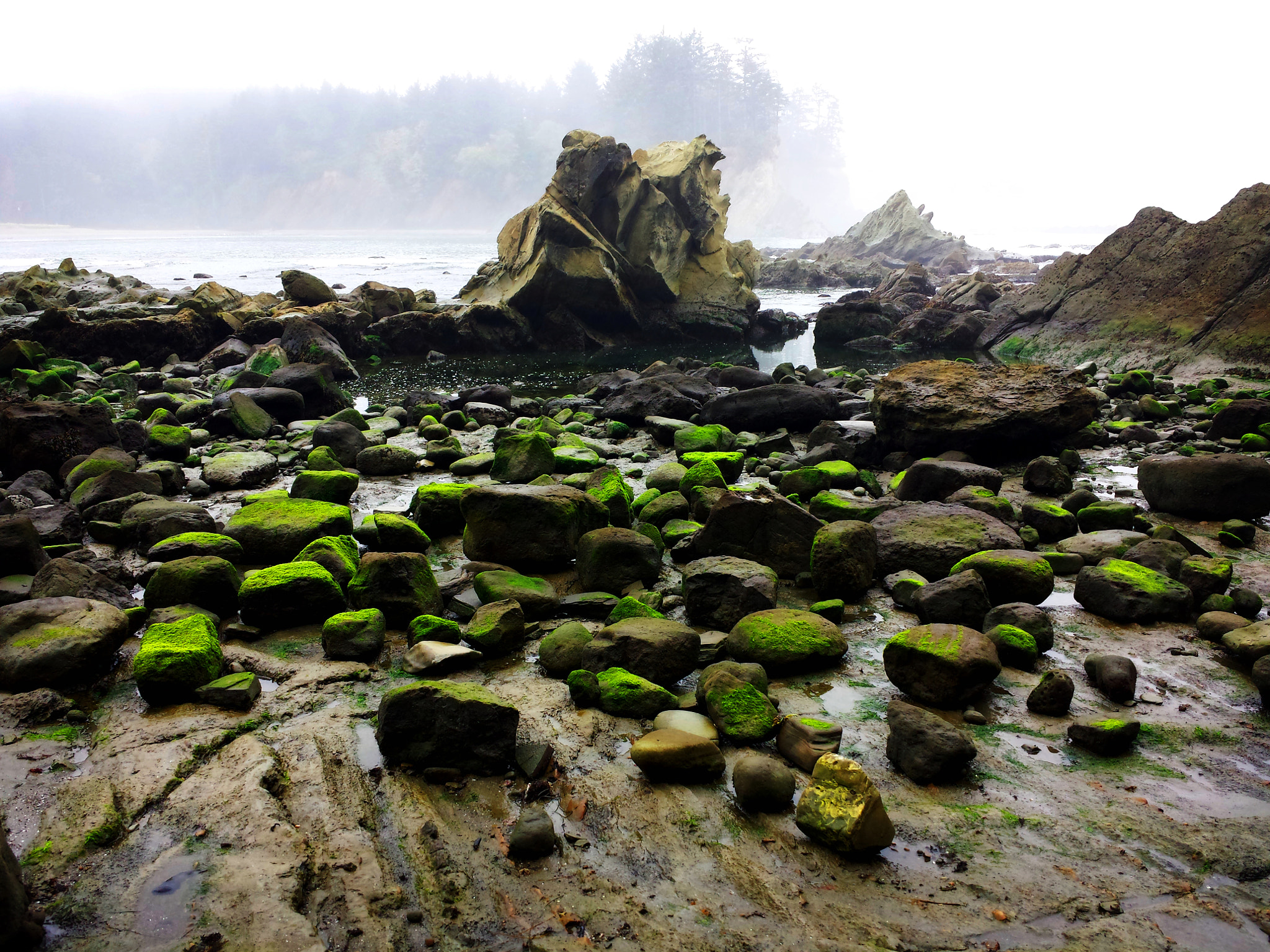 Fog and mist over rocky Simpson Beach near Coos Bay on the Southern Oregon Coast