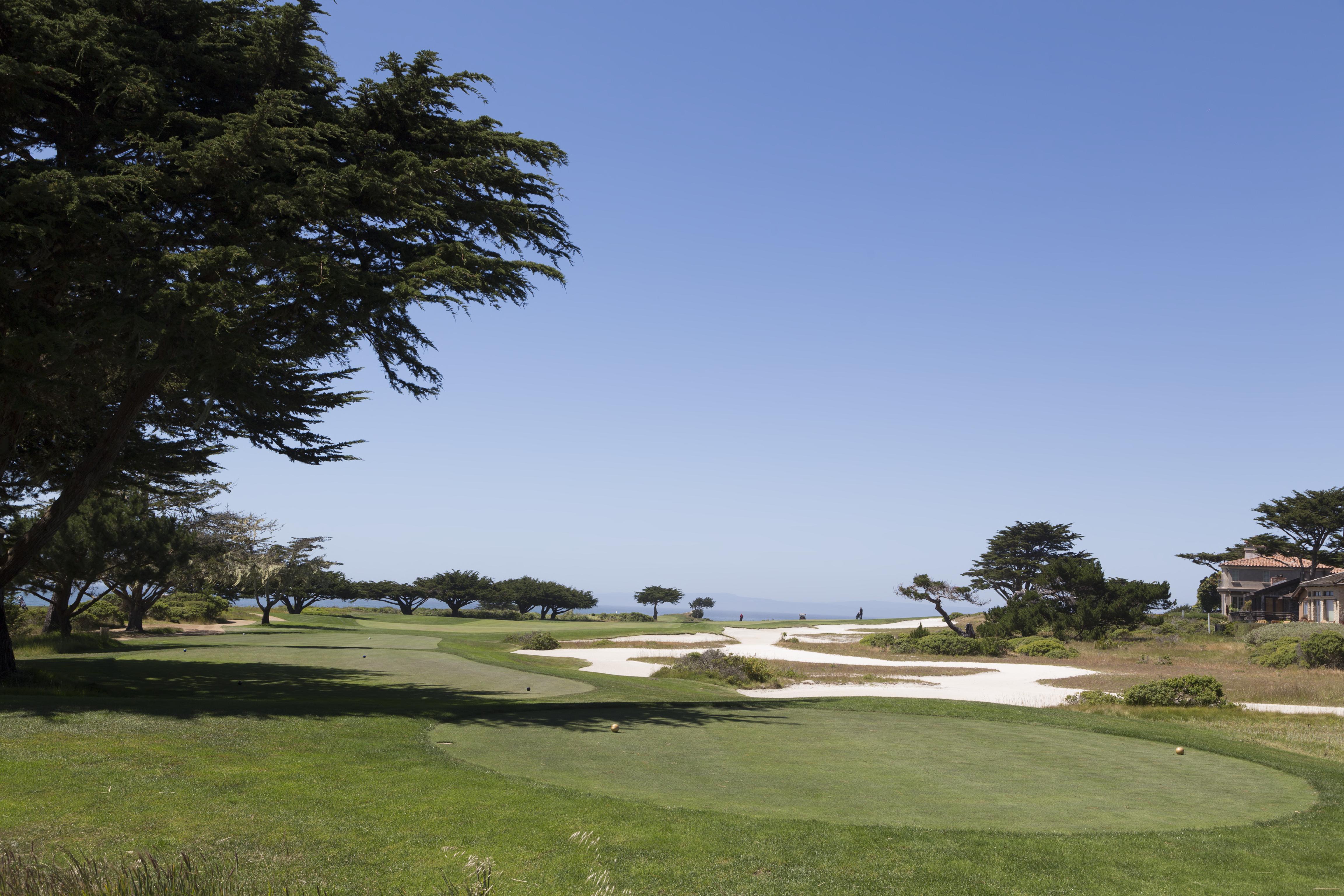 Fairway, white sand bunkers, and Monterey Cypress along a golf course beside 17-Mile Drive on the Monterey Peninsula