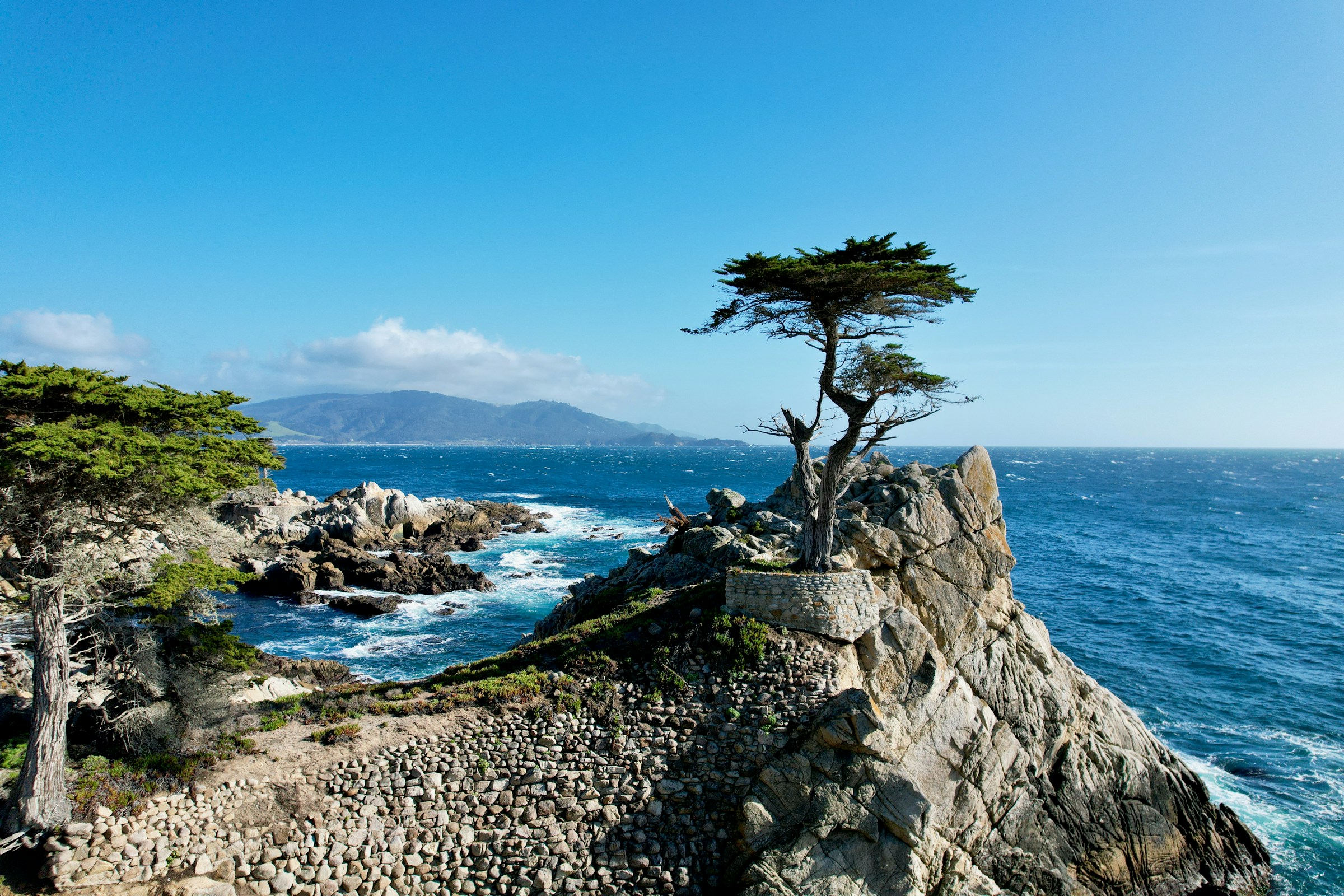 The Lone Cypress and rocky coastline along 17-Mile Drive on the Monterey Peninsula