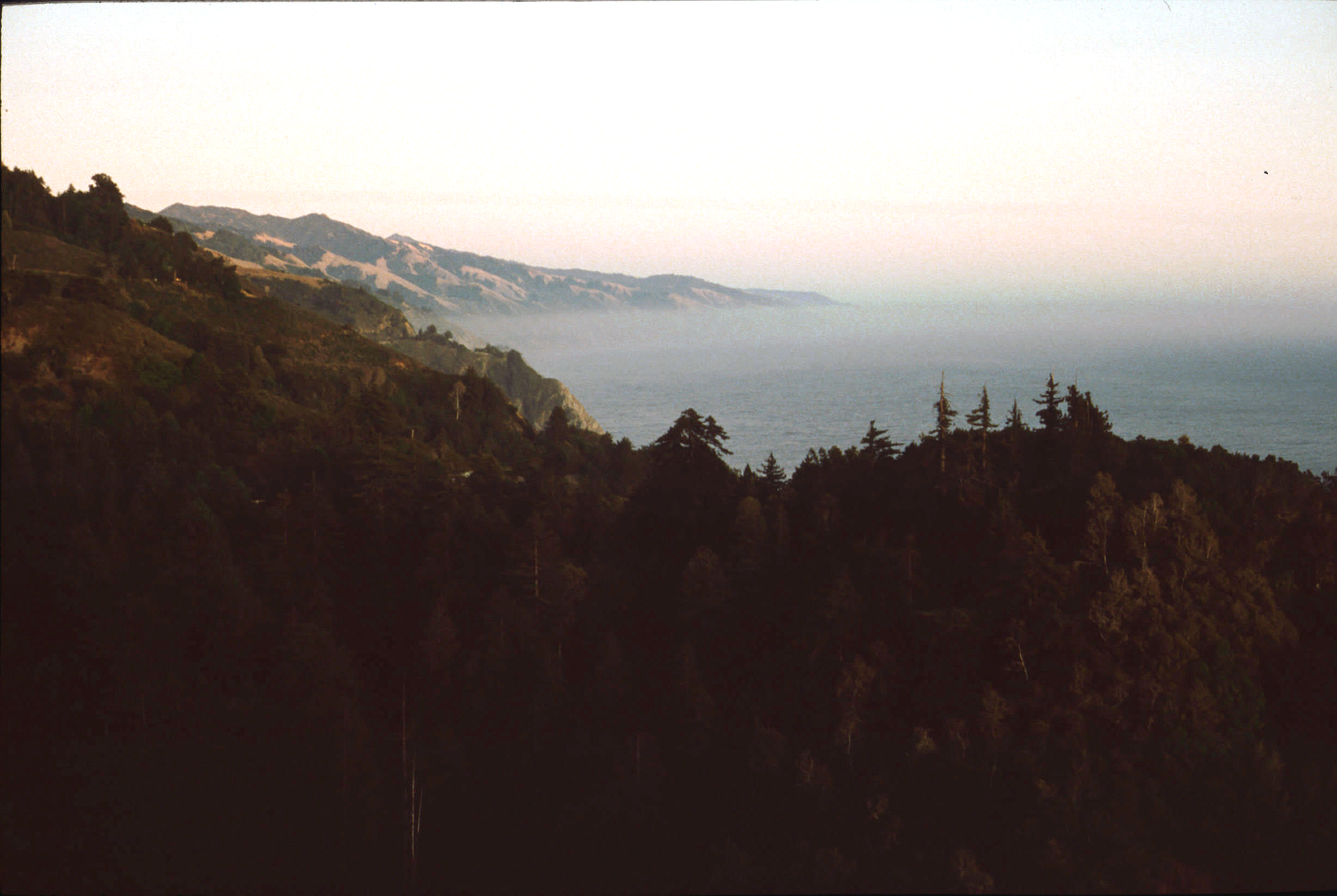 Fog along the rocky central California coastline near Big Sur